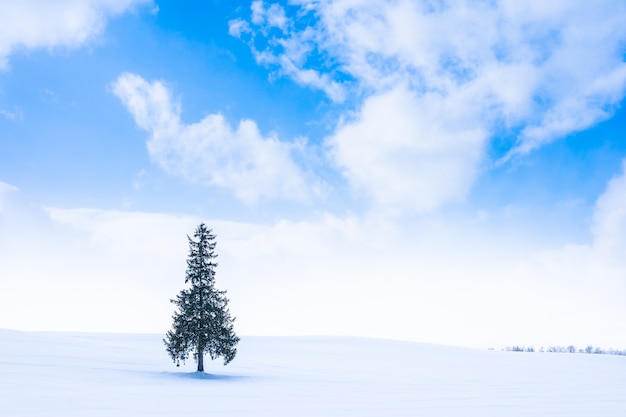 Bello Paesaggio All Aperto Della Natura Con L Albero Solo Nella Stagione Del Tempo Di Inverno Della Neve Foto Gratis