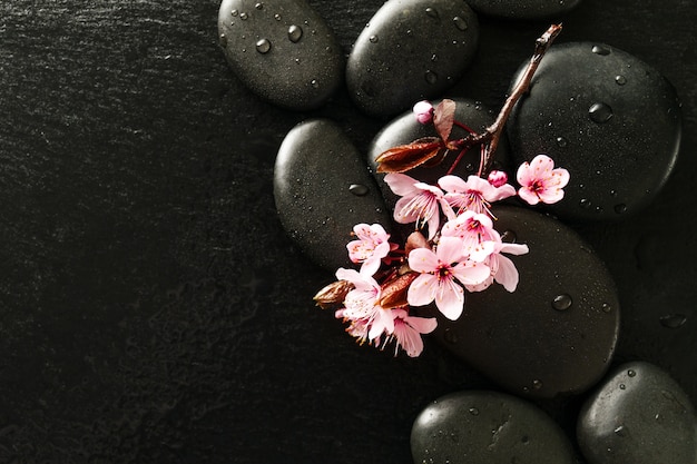 Beautiful Pink Spa Flowers On Spa Hot Stones On Water Wet - 