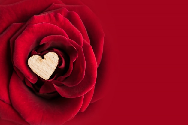 Premium Photo | Beautiful red rose valentine's day background