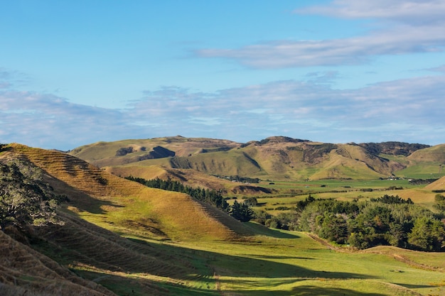 Premium Photo | Beautiful rural landscape of the new zealand - green ...