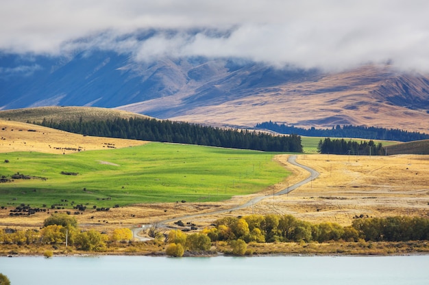 Premium Photo | Beautiful rural landscape of the new zealand - green ...