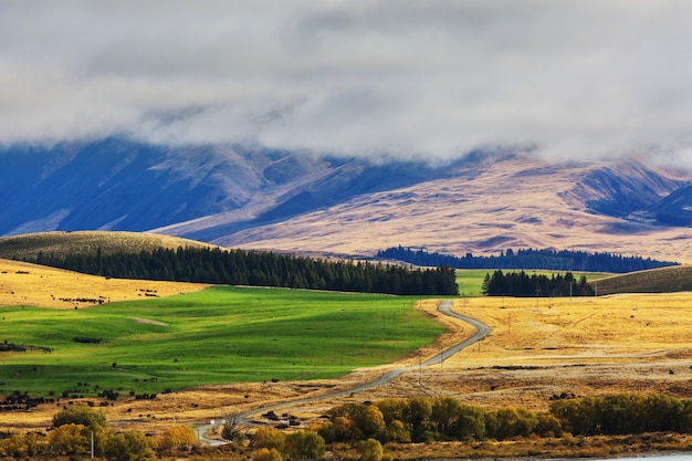 Premium Photo | Beautiful rural landscape of the new zealand at sunrise