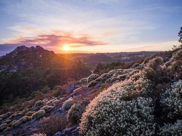 Beautiful scenery of the breathtaking sunset at montesinho natural park in portugal Free Photo