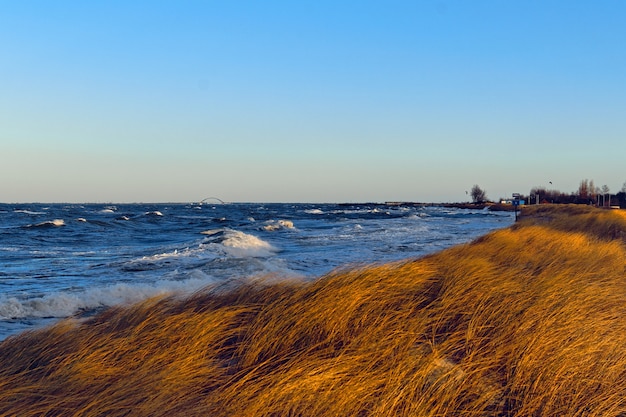 Free Photo | Beautiful scenery of a grassy hill by the sea under the ...