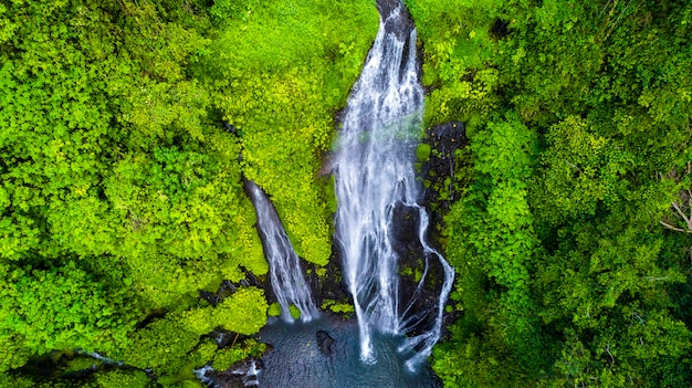 Beautiful the sekumpul waterfall in bali, indonesia Premium Photo