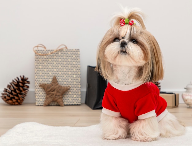 shih tzu christmas sweater