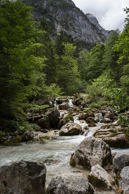 ドイツ ヴェッターシュタインの山の風景の中を流れる川の美しいショット 無料の写真