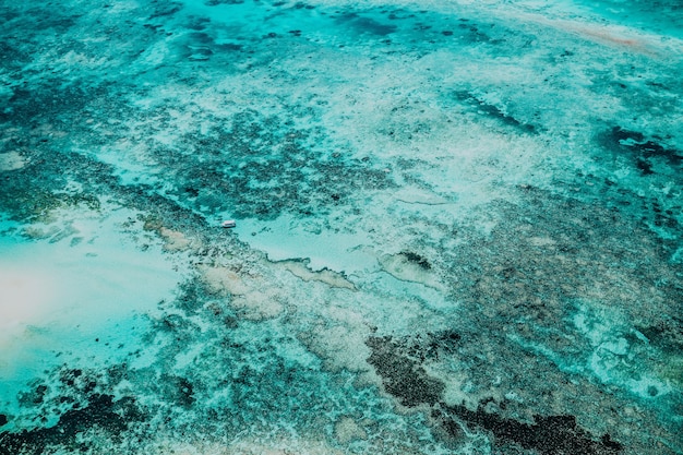 海底 写真 10 高画質の無料ストックフォト