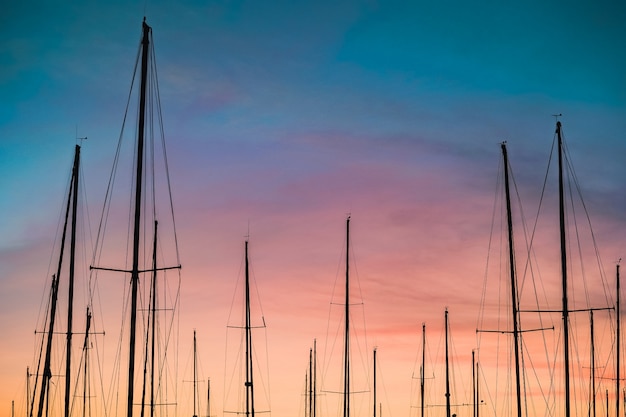 Bello Colpo Di Una Siluetta Degli Alberi Della Barca A Vela Al Tramonto Foto Gratis