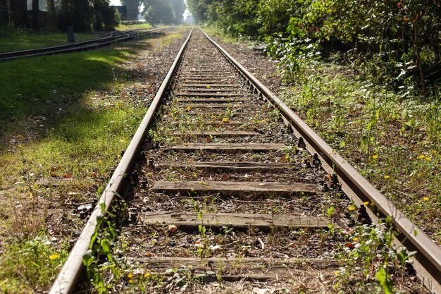 Free Photo | Beautiful shot of train tracks covered with grass during ...