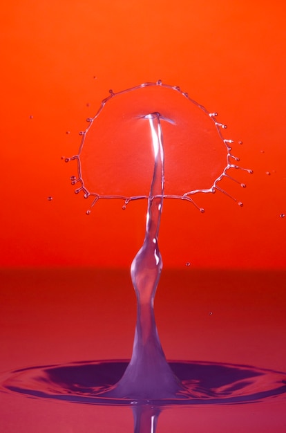 Free Photo | Beautiful still life with water