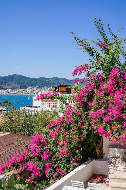 Premium Photo Beautiful Streets In Old Town Of Marmaris With Plants And Flowers On Sunny Day