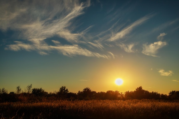 Premium Photo | Beautiful summer sunset. summer landscape