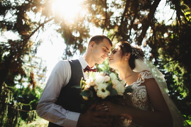 Beautiful Sunny Day Wedding Couple Posing On The Background Of