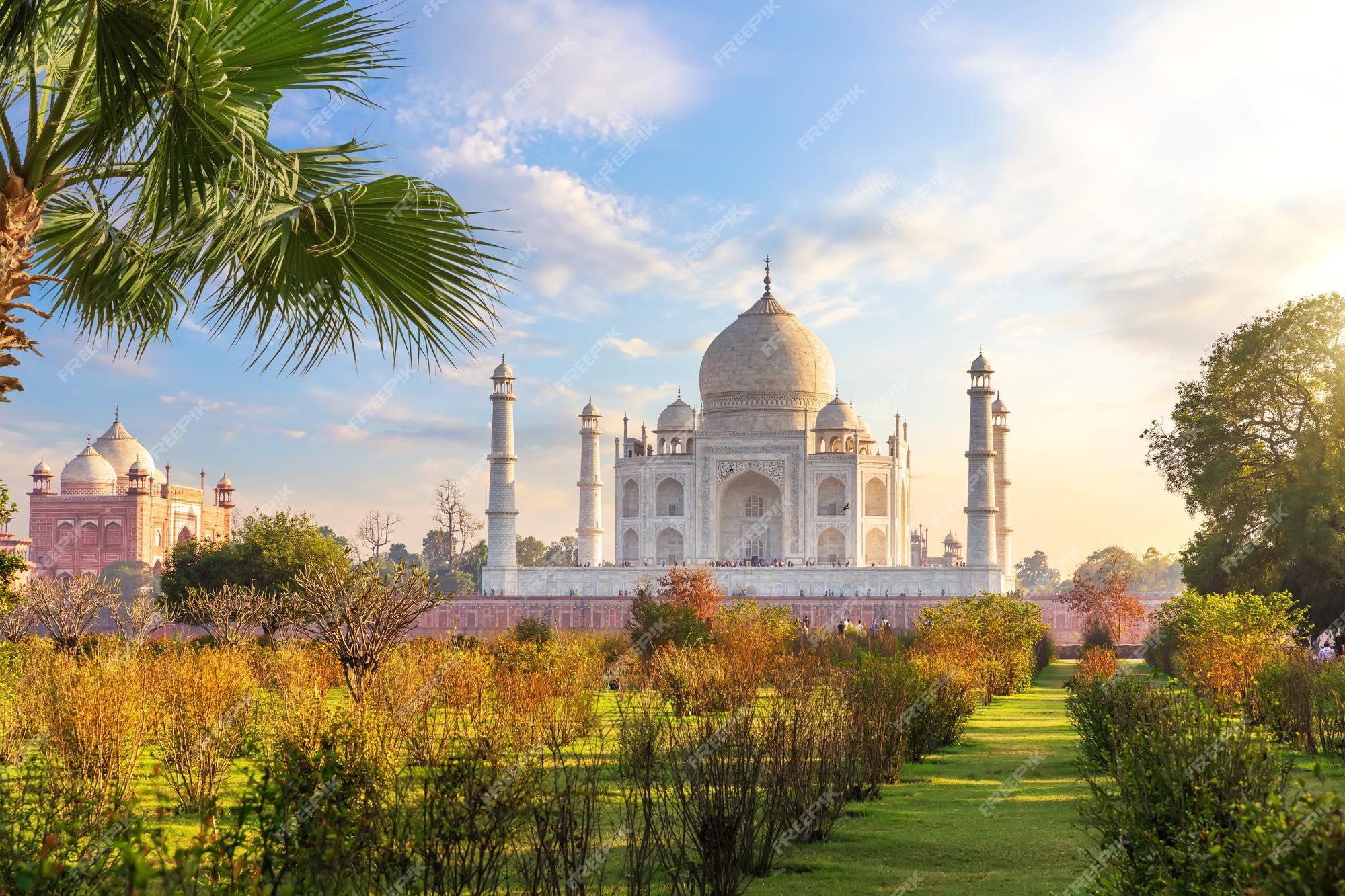 Premium Photo Beautiful Taj Mahal In The Garden India Agra