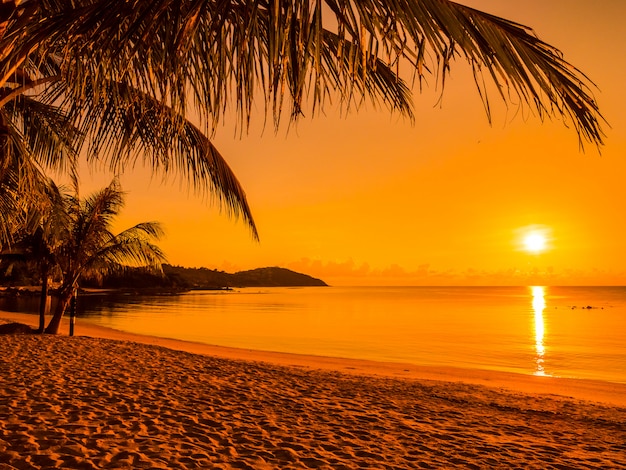 Beautiful tropical beach sea and ocean with coconut palm tree at ...