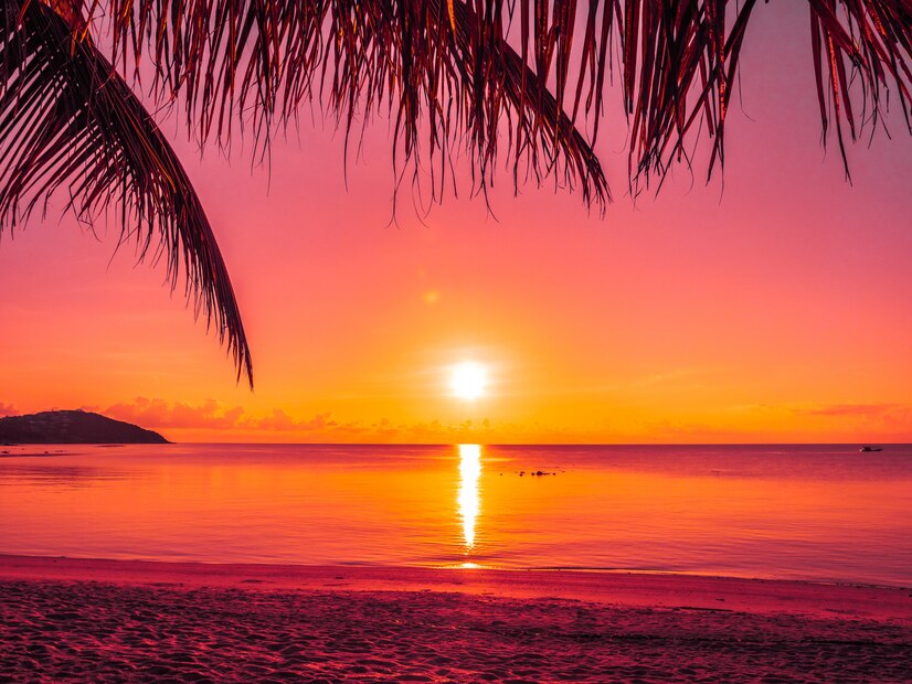 Free Photo | Beautiful tropical beach sea and ocean with coconut palm ...