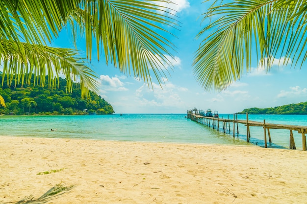 Beautiful tropical beach and sea with coconut palm tree in paradise
