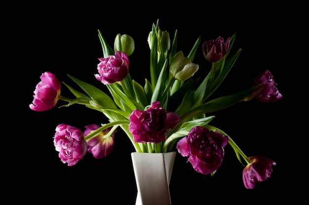 Premium Photo | Beautiful tulip flowers in vase art low key