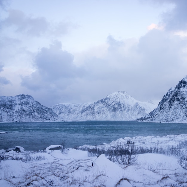 Premium Photo | Beautiful untouched nature in northern scandinavia