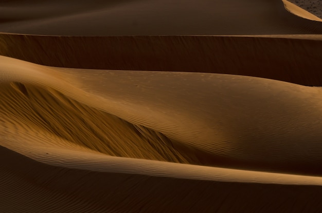 dune simonne brown