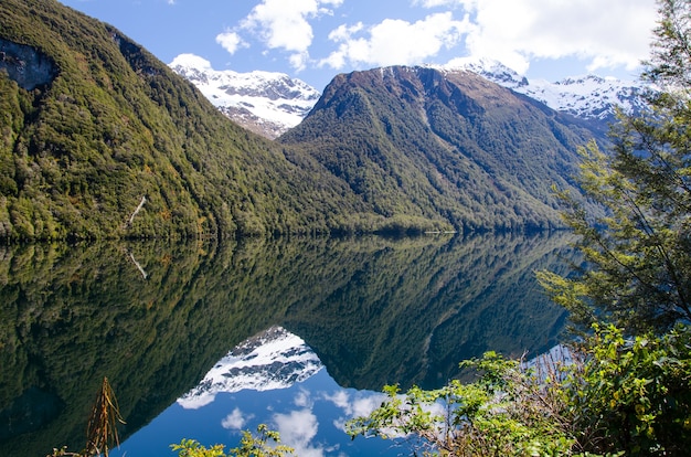 SEA FREIGHT SHIPPING TO NELSON