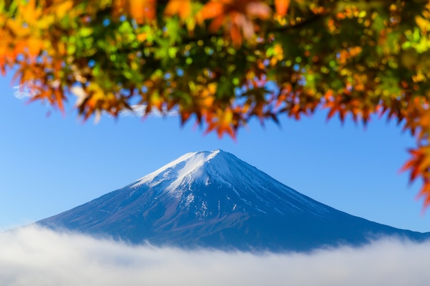 カラフルな赤いカエデの葉と富士山の美しい景色と秋の河口湖 日本の最高の場所で秋の冬の朝の霧旅行と風景自然概念 プレミアム写真