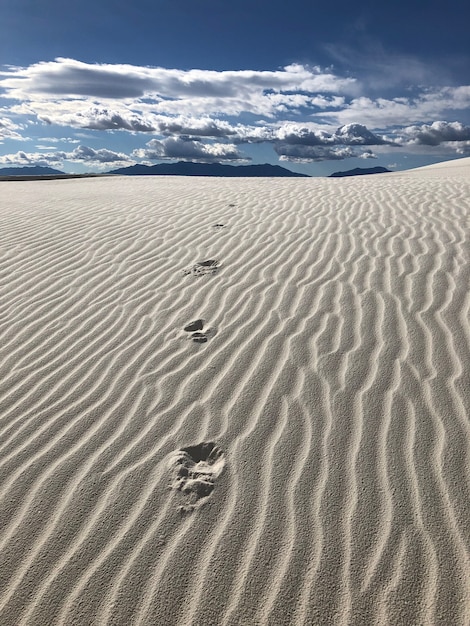 ニューメキシコの風にさらされた砂で覆われた砂漠の美しい景色 無料の写真