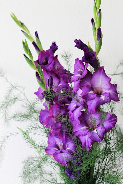 https://image.freepik.com/free-photo/beautiful-violet-gladiolus-flowers_95411-438.jpg