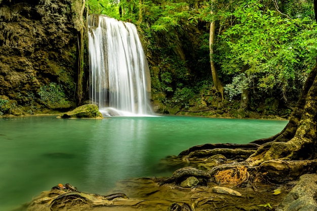 Premium Photo | Beautiful waterfall in green forest