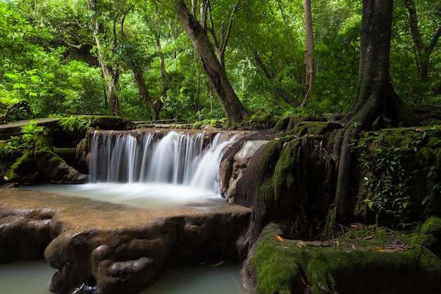 Than Bok Khorani National Park Beautiful-waterfall-rainy-season-than-bok-khorani-national-park-thailand-than-bok-khorani-waterfall_2313-217