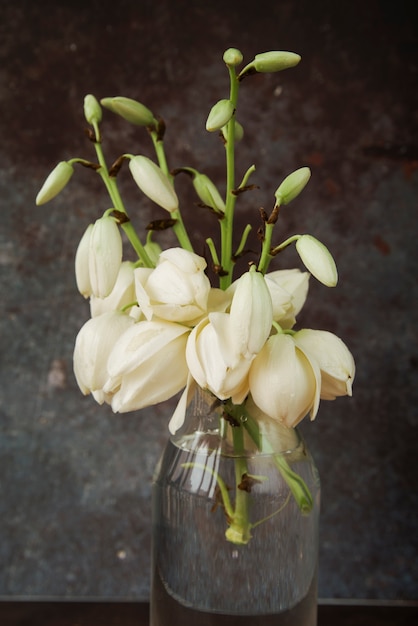 Free Photo Beautiful White Flowers In The Glass Bottle With Water