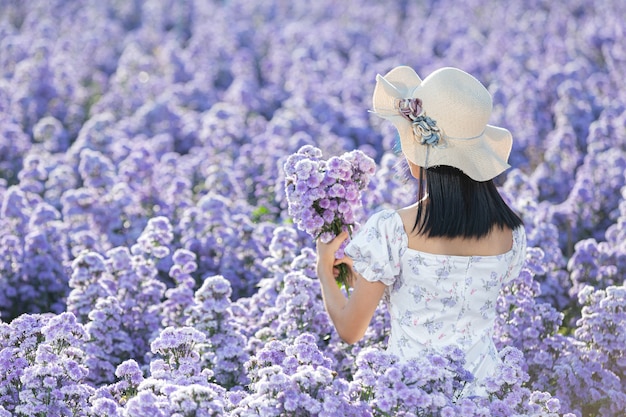 花畑を楽しむ美女 無料の写真