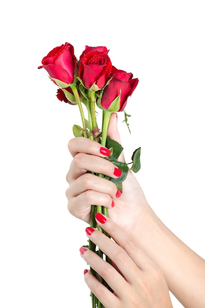 Beautiful Woman Hand With Red Nails Holding Red Rose Isolated On