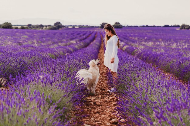 夕暮れ時のラベンダー畑で彼女のゴールデンレトリーバー犬と美しい女性 プレミアム写真