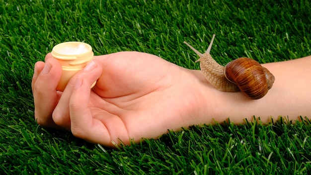 カタツムリのムチンと保湿クリームを手に持つ緑の芝生のカタツムリと美容スキンケア化粧品 プレミアム写真