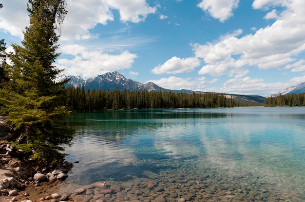 Beauvert lake with mountains in the background, jasper national park ...