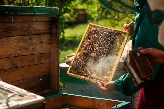 Premium Photo | Beekeeper Harvesting Honey