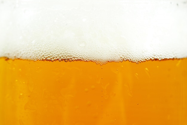 ビールと泡の背景 無料の写真
