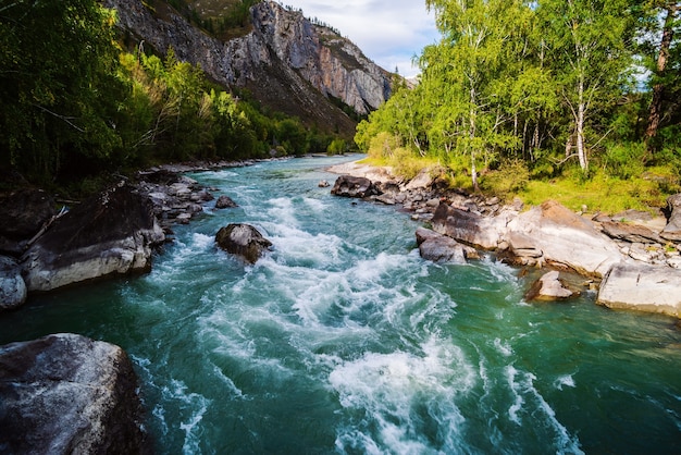 Premium Photo | Behemoth river rapid on the chuya river, mountain altai ...