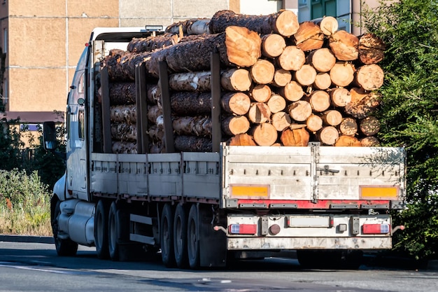 Premium Photo | Big heavy timber lorry on a town street. trees loaded ...