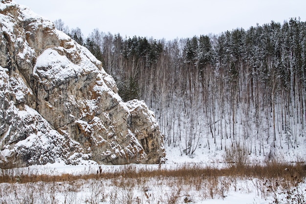 Premium Photo A Big Rock In The Snow Tall Pines And Overcast Sky Frozen Lake Under The Snow