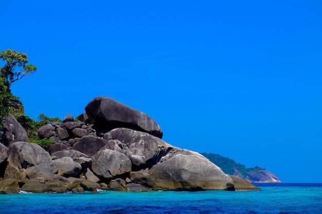 Free Photo Big Rocks And Trees Near The Sea With Clear Sky