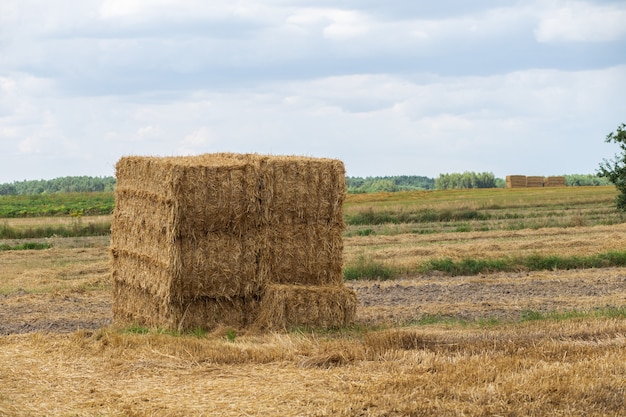 フィールドで干し草の大きな束 プレミアム写真