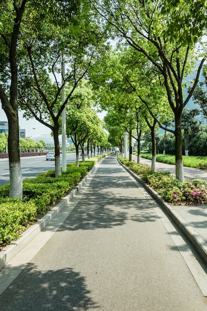 Image result for bike lane trees