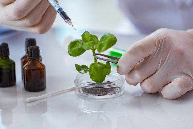 Premium Photo | Biotechnology scientist working in the lab