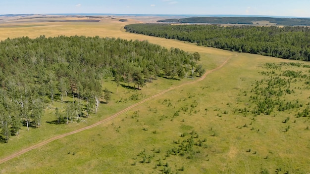 Premium Photo | Birch grove and forests surround green meadow aerial ...