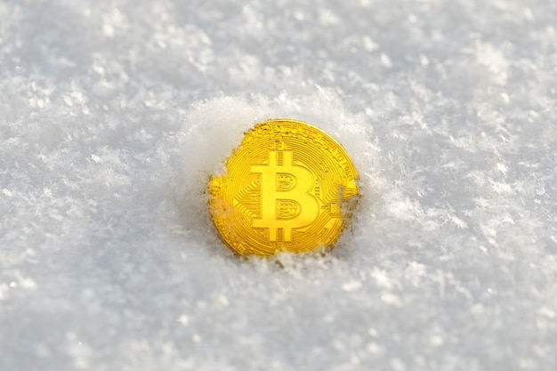 snow coin cryptocurrency