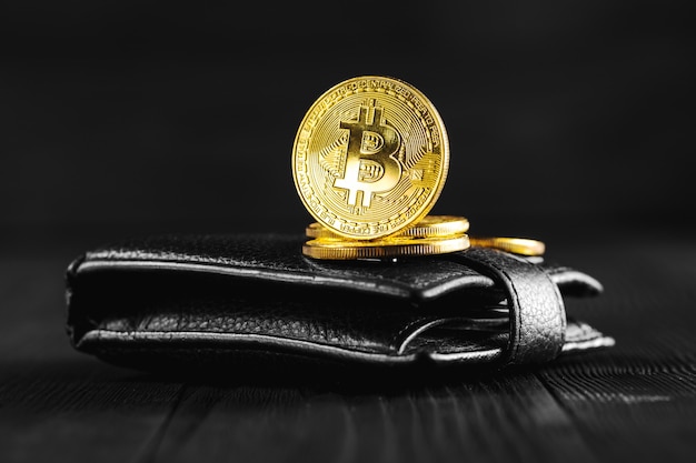 purse com bitcoin