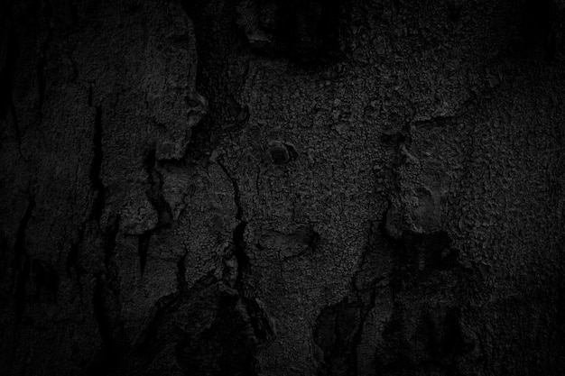 Premium Photo | Black bark background naturally beautiful old bark texture